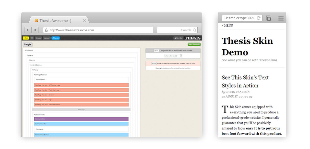 Thesis theme thesis skin manager